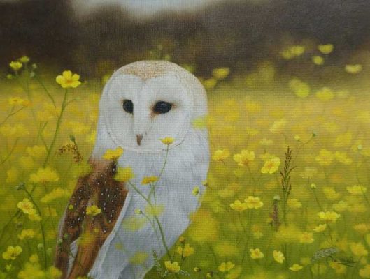 Owl